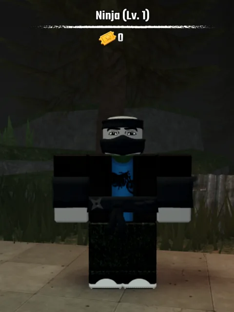 Ninja class character